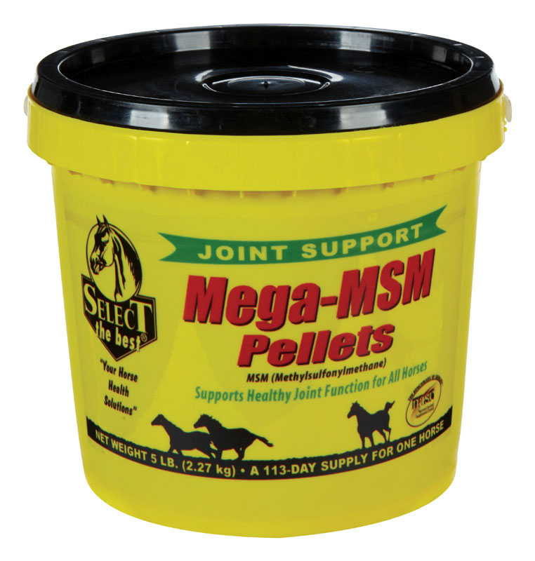 MWI VETERINARY SUPPLY, Mega MSM Solid Joint Care For Horse 80 oz.