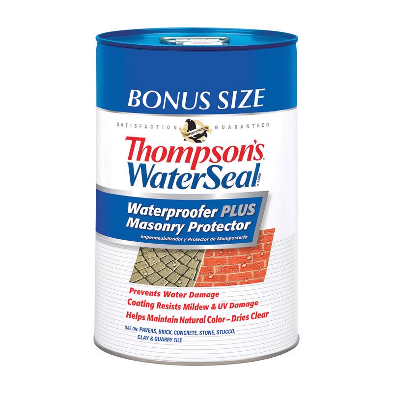 THOMPSONS WATERSEAL, Thompson's WaterSeal Waterproofer Plus Masonry Protector Scellant imperméable transparent pour maçonnerie 6 gal.